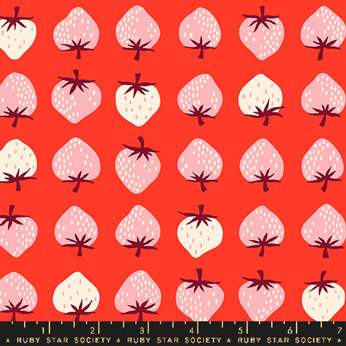 Strawberry - Strawberry in Lollipop RS 3084 18 - Ruby Star Society Sold by the Half Yard